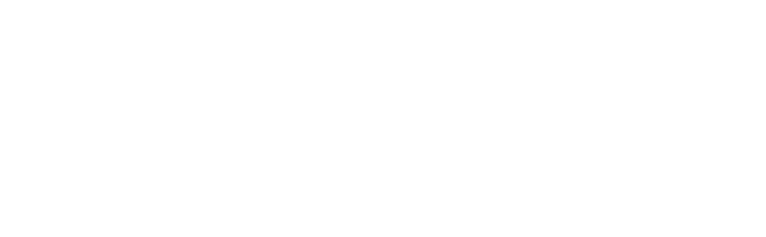 Laing Media White Logo